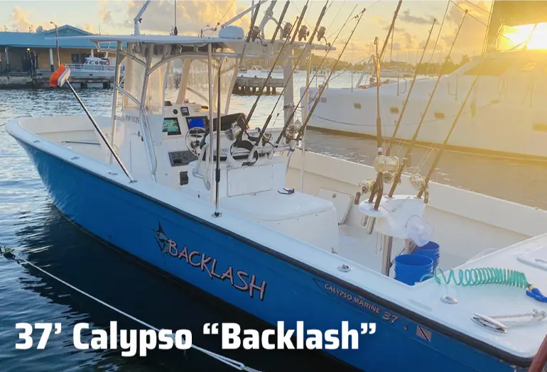 37' Calypso "Backlash"